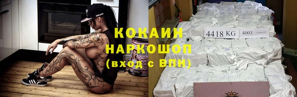 гашик Нефтекумск