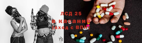 гашик Нефтекумск