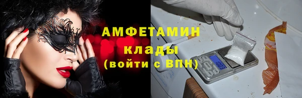 гашик Нефтекумск