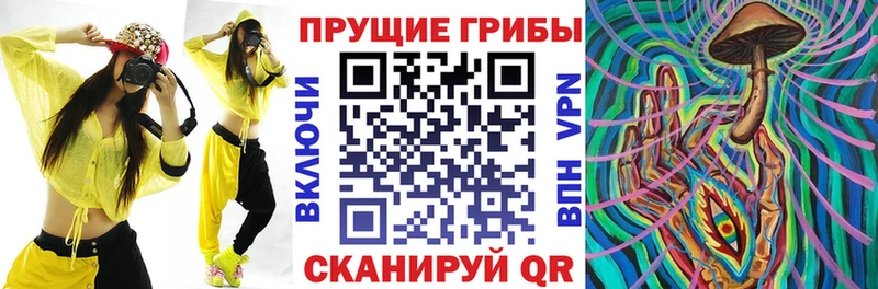 купить наркотики сайты блэк спрут зеркало Галлюциногенные грибы ЛСД Тара